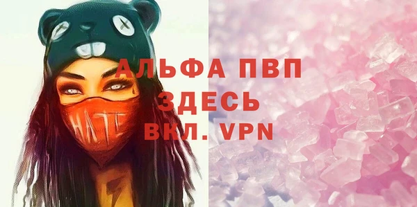 прущие грибы Армянск