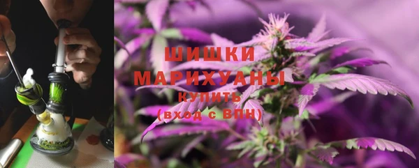 ГАЛЛЮЦИНОГЕННЫЕ ГРИБЫ Лихославль