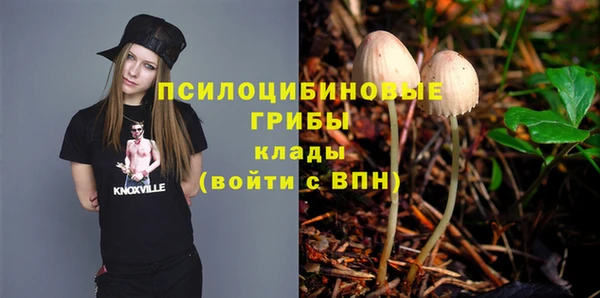 Альфа ПВП Баксан